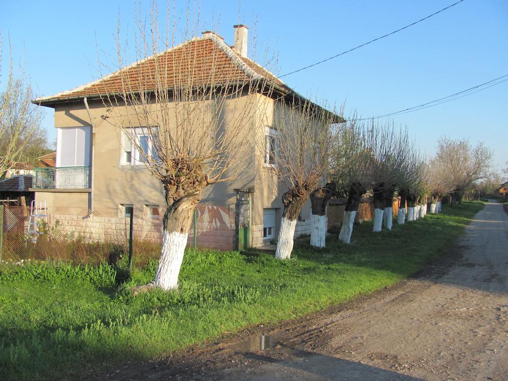 Rogozen B&B Екстер'єр фото