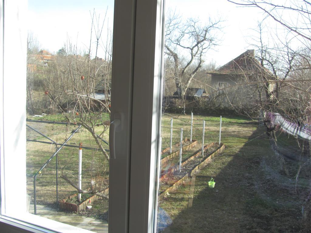 Rogozen B&B Екстер'єр фото
